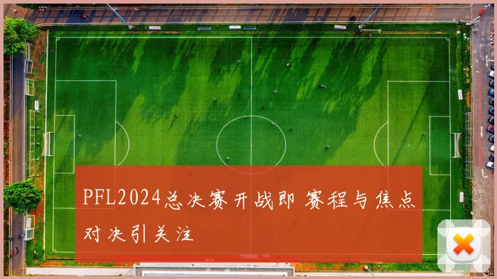 PFL2024总决赛开战即 赛程与焦点对决引关注