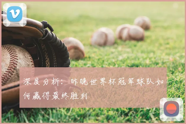 深度分析：昨晚世界杯冠军球队如何赢得最终胜利