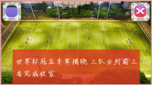 世界杯冠亚季军揭晓 三队分列前三名完成收官