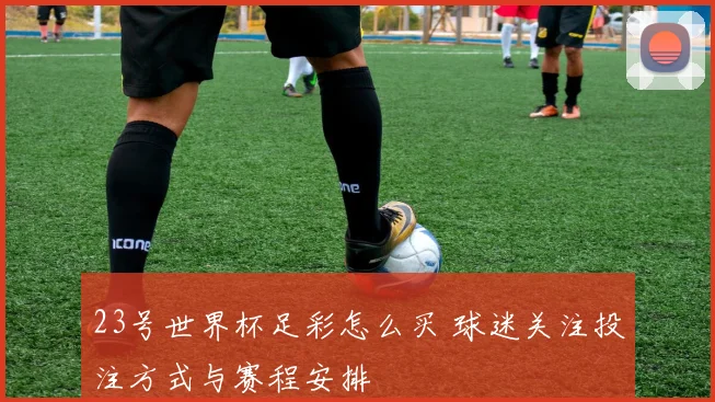 23号世界杯足彩怎么买 球迷关注投注方式与赛程安排