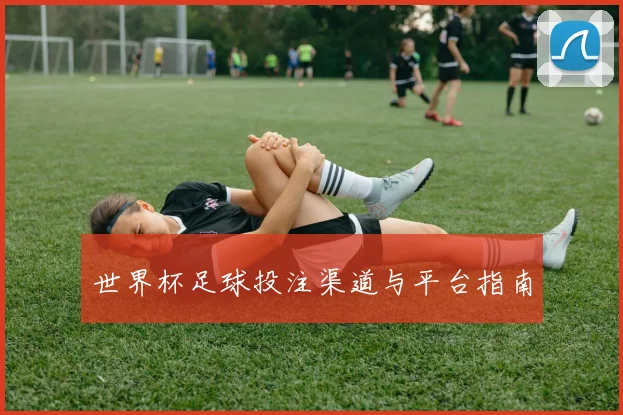 世界杯足球投注渠道与平台指南