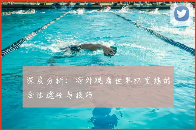 深度分析：海外观看世界杯直播的合法途径与技巧