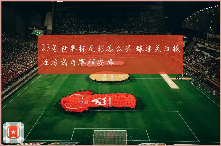 23号世界杯足彩怎么买 球迷关注投注方式与赛程安排