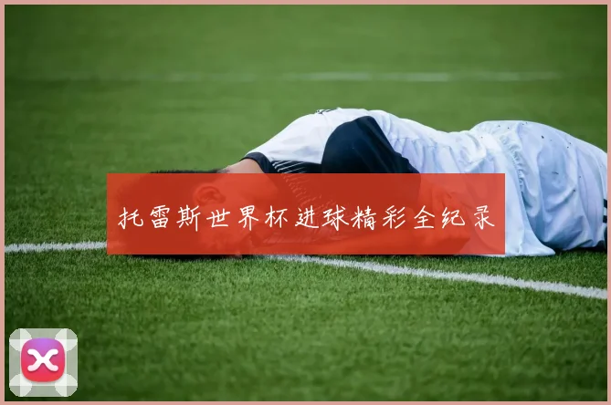 托雷斯世界杯进球精彩全纪录