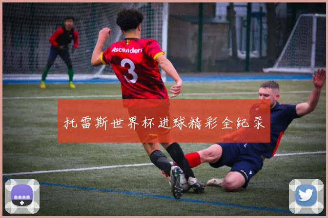 托雷斯世界杯进球精彩全纪录
