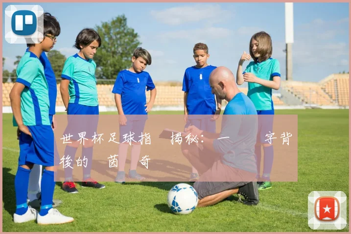 世界杯足球指數揭秘:一場數字背後的綠茵傳奇