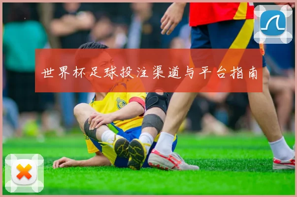 世界杯足球投注渠道与平台指南
